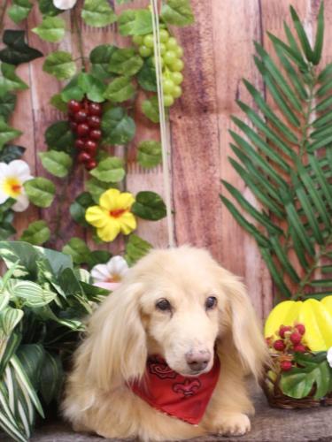 20230815ハクくん